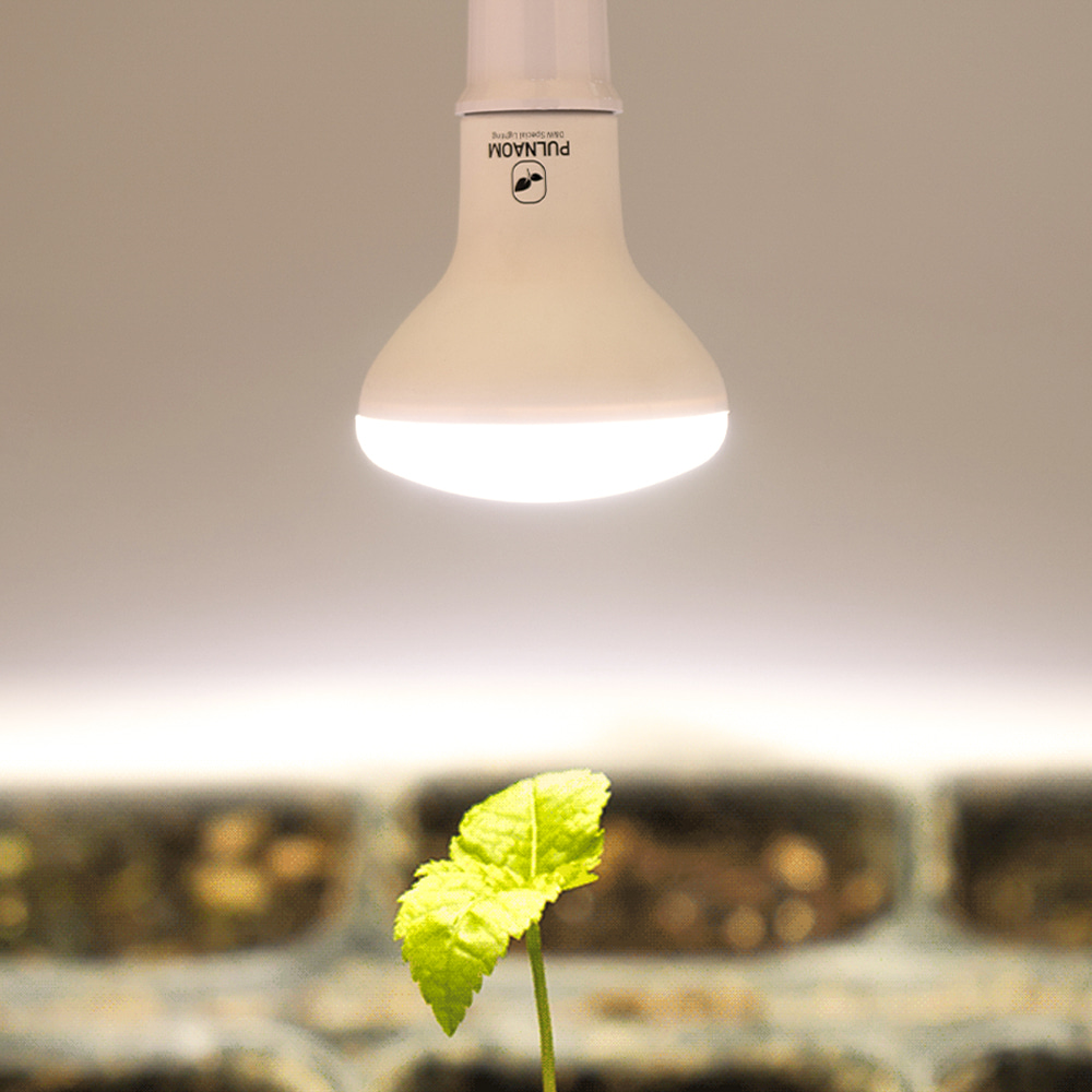 항균 LED 식물전구
